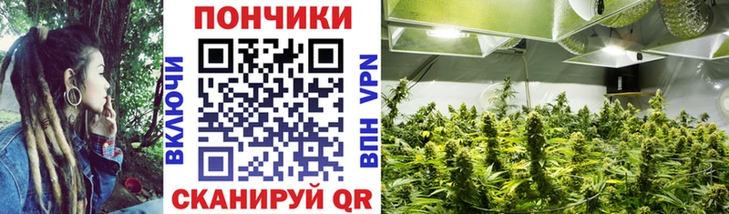 Где продают наркотики Мегион Cocaine  Мефедрон  ГАШИШ  Конопля 