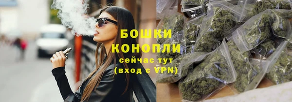 шишки Абаза