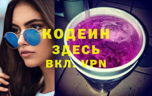 шишки Абаза