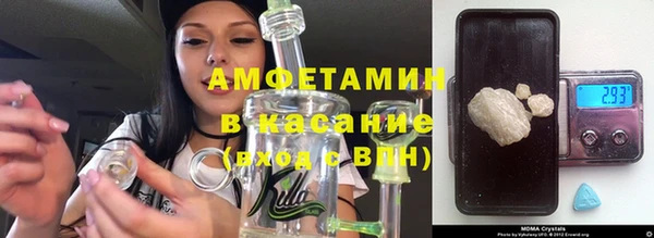 шишки Абаза