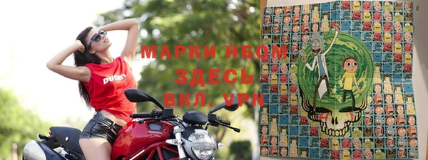 шишки Абаза
