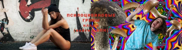 спиды Абинск
