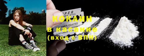шишки Абаза