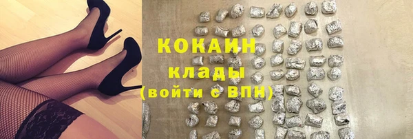 шишки Абаза
