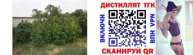 ТГК THC oil Мегион