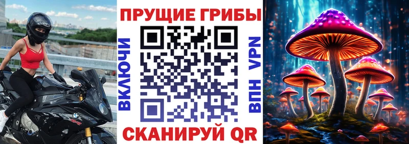 hydra ссылка  сколько стоит  Мегион  Галлюциногенные грибы Cubensis 