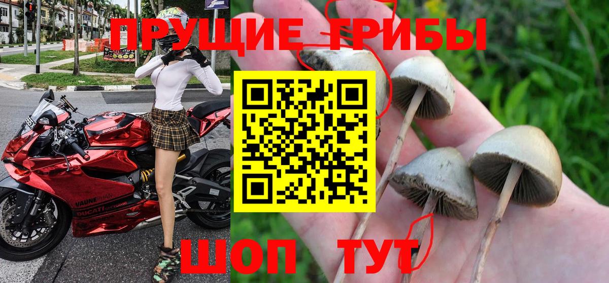 Галлюциногенные грибы MAGIC MUSHROOMS Мегион