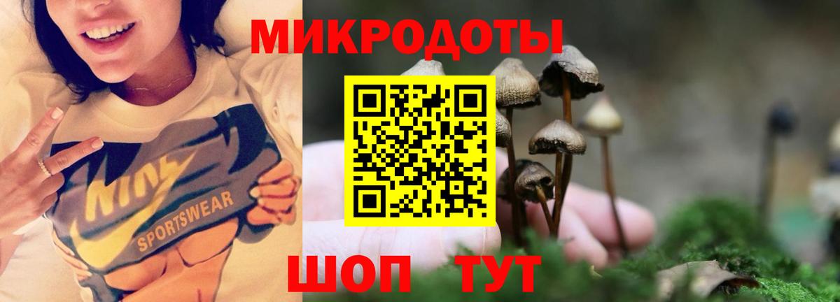 Галлюциногенные грибы мицелий  хочу наркоту  Мегион  Вход с VPN 
